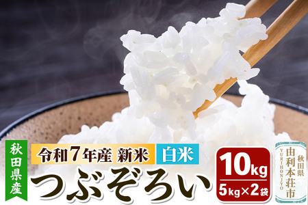 yāzHcR{sY Ԃ낢 10kgi5kg×2܁jߘa7NY