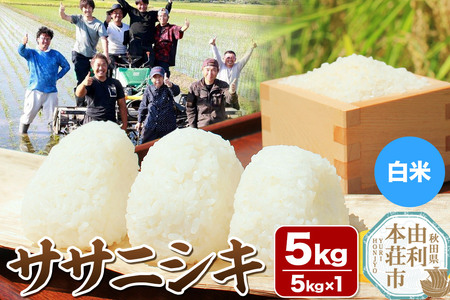 [白米]秋田県由利本荘市産 ササニシキ 5kg(5kg×1袋)令和6年産