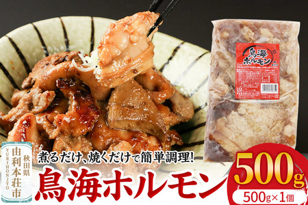鳥海ホルモン 1個入(500g)