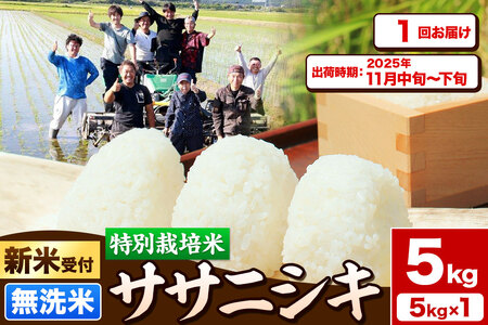 [新米受付]令和7年産[無洗米]特別栽培米 ササニシキ 5kg 秋田県産[2025年11月中旬〜下旬頃出荷予定]