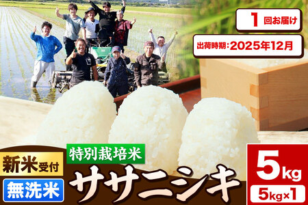 [新米受付]令和7年産[無洗米]特別栽培米 ササニシキ 5kg 秋田県産[2025年12月出荷]