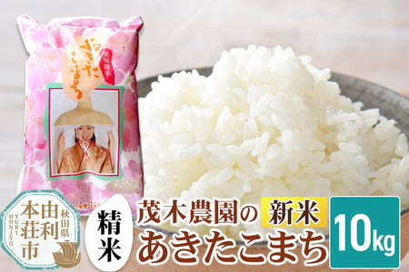 sߘa7NY Vātyāz܂ 10kg HcY Ζؔ_̂܂ uh  Ăǂ Hc R{s