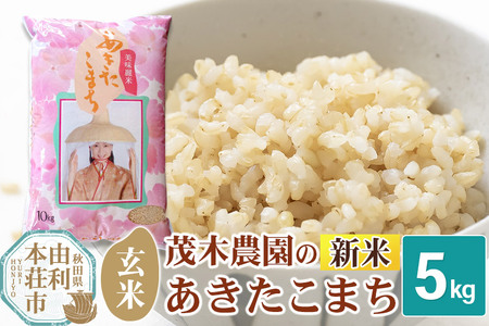 sߘa7NY Vātyāz܂ 5kg HcY Ζؔ_̂܂ uh  Ăǂ Hc R{s