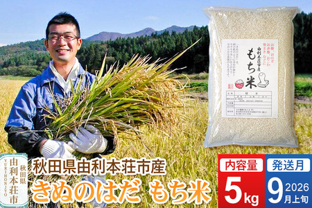 s\tty2026N9{Eފ݁zߘa7NYyāz 5kg Hc R{sY ʂ̂͂  5kg