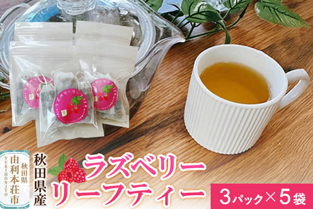 n[ueB Yx[[teB[ 15pbNi3pbN×5܁jNlR䂤pPbg HcY Ƃ Hc R{s