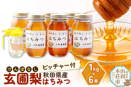 E12215秋田の玄圃梨蜂蜜（はちみつ）1kg×6本＋ピッチャー付