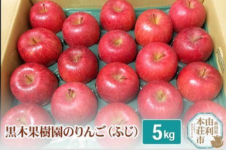 黒木果樹園のりんご(ふじ) 5kg