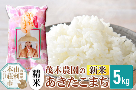 sߘa7NY Vātyāz  ܂ HcY Ζؔ_̂܂  5kg