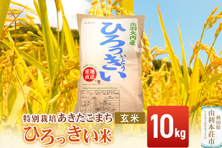 玄米】 秋田県産 あきたこまち 10kg 令和7年産 特別栽培米 ひろっきい