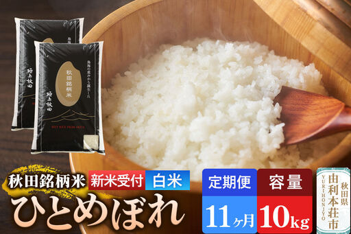 《令和8年産 新米受付》《定期便11ヶ月》【白米】極上秋田銘柄米 ひとめぼれ 10kg（5kg×2袋）