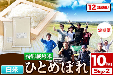 《定期便12ヶ月》令和7年産【白米】特別栽培米 ひとめぼれ 10kg（5kg×2袋）秋田県産 [ひとめぼれ 米 お米 白米 精米 特別栽培米 ブランド米 食卓 秋田県産 秋田県 由利本荘市]