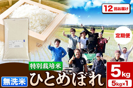 《定期便12ヶ月》令和7年産【無洗米】特別栽培米 ひとめぼれ 5kg 秋田県産 [ひとめぼれ 米 お米 白米 精米 無洗米 特別栽培米 ブランド米 食卓 秋田県産 秋田県 由利本荘市]