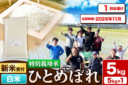 [新米予約]令和8年産[白米]特別栽培米 ひとめぼれ 5kg 秋田県産[2026年11月出荷] [ひとめぼれ 米 お米 白米 精米 特別栽培米 ブランド米 食卓 秋田県産 秋田県 由利本荘市]