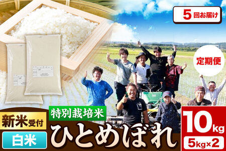 《新米予約》《定期便5ヶ月》令和8年産【白米】特別栽培米 ひとめぼれ 10kg（5kg×2袋）秋田県産 [ひとめぼれ 米 お米 白米 精米 特別栽培米 ブランド米 食卓 秋田県産 秋田県 由利本荘市]