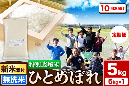 《新米予約》《定期便10ヶ月》令和8年産【無洗米】特別栽培米 ひとめぼれ 5kg 秋田県産 [ひとめぼれ 米 お米 白米 精米 無洗米 特別栽培米 ブランド米 食卓 秋田県産 秋田県 由利本荘市]