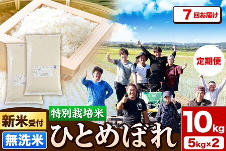 《新米予約》《定期便7ヶ月》令和8年産【無洗米】特別栽培米 ひとめぼれ 10kg（5kg×2袋）秋田県産 [ひとめぼれ 米 お米 白米 精米 無洗米 特別栽培米 ブランド米 食卓 秋田県産 秋田県 由利本荘市]