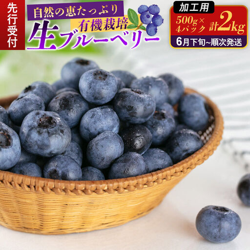 《先行受付》【加工用】田口農園 秋田県産 ブルーベリー 生 合計2kg（500g×4パック）