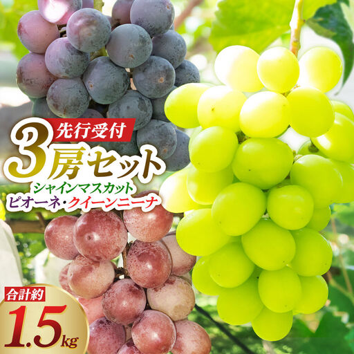 [先行受付]シャインマスカット・ピオーネ・クイーンニーナ 3房セット(合計約1.5kg)秋田県 由利本荘市産 八紘園