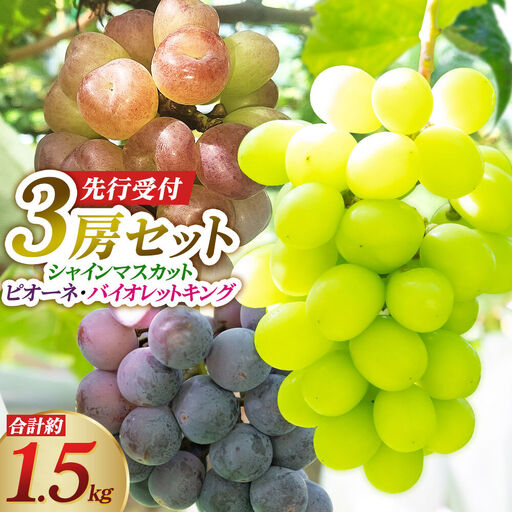 [先行受付]シャインマスカット・ピオーネ・バイオレットキング 3房セット(合計約1.5kg)秋田県 由利本荘市産 八紘園