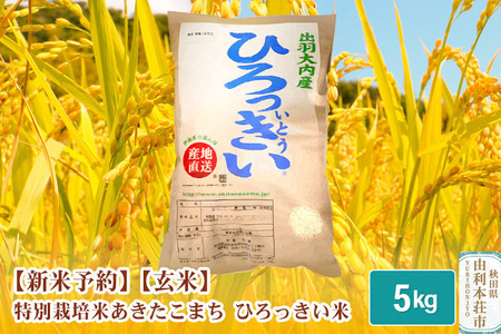 《新米予約》【玄米】 秋田県産 あきたこまち 5kg 令和6年産 特別栽培米 ひろっきい米