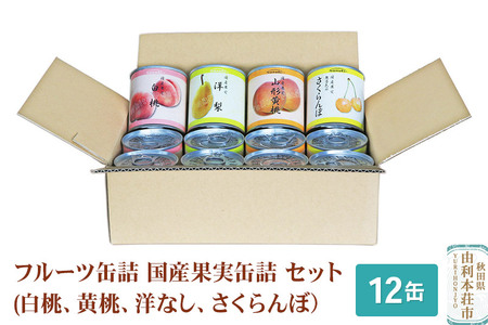 Sanuki フルーツ缶詰 国産果実缶詰 12缶セット(白桃、黄桃、洋なし、さくらんぼ)