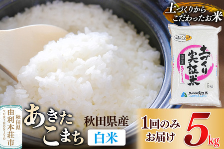 �y���āz 1��̂ݔz�� 5kg �ߘa7�N�Y ���������܂� �y�����ؕ� �H�c���Y