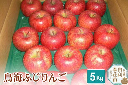 s\ttCӂ 5kg _ƒ ь S Hc R{s