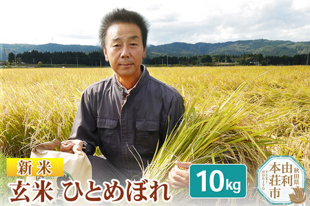 yāz ʎZ5 A ЂƂ߂ڂ 10kg ߘa7NY V _ƒ n̂ЂƂ߂ڂ