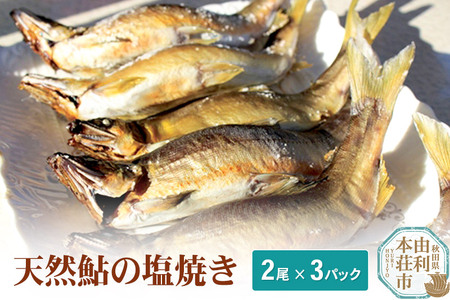 ふるさと納税の返礼品 川魚の人気ランキング | ふるさと納税バイブル