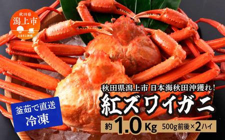 日本海沖産 紅ズワイガニ500g前後×2匹 約1.0kg/冷凍[安田水産]