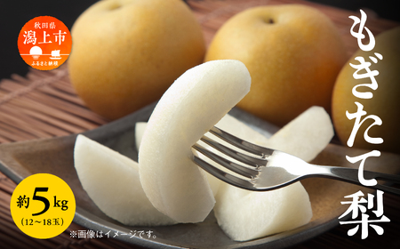  5kg ̂ꂽ  12?18ʑO yJ_z