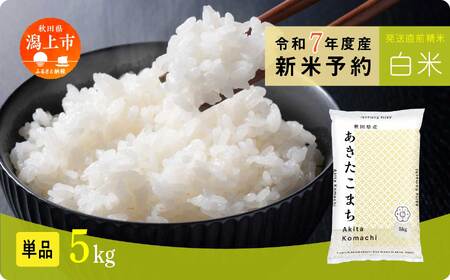 [先行予約] 白米 あきたこまち 令和7年産 5kg(5kg×1) 5kg袋 小分け 米 グルメ ふるさと こめ コメ 一人暮らし [秋田のこまち農場]