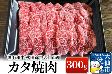 јa HcыsY J^ē 300g 