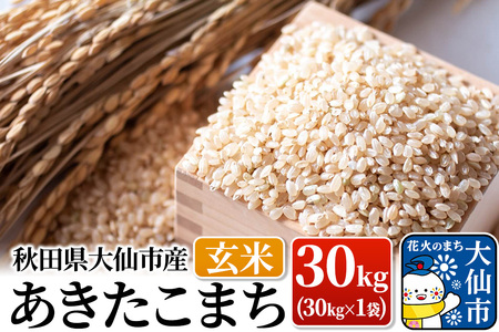 �V�� �āy�ߘa7�N�Y�z���������܂� ���� 30kg�i30kg×1�܁j�H�c�����s�Y