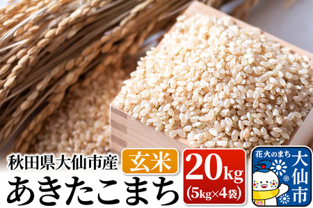 �V�� �āy�ߘa7�N�Y�z���������܂� ���� 20kg�i5kg×4�܁j�H�c�����s�Y