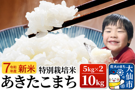 �V�� �� �ߘa7�N�Y�y���ʍ͔|�āz���������܂��y���āz10kg�i5kg×2�j