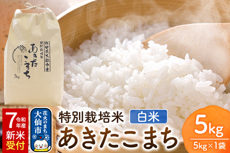āsߘa7NY VĎttʍ͔| ܂yāz5kg×1 [YC Hc sY