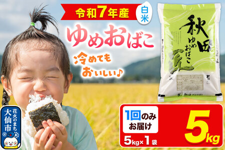 V āyāzHcY ߂΂  5kgi5kg×1܁jߘa7NY s