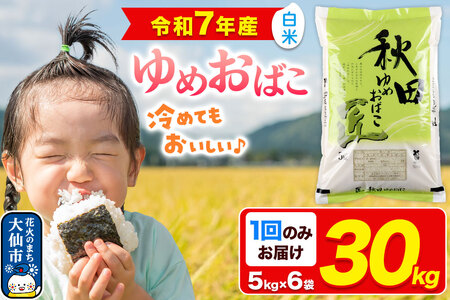 �V�� �āy���āz�H�c���Y ��߂��΂� ���� 30kg�i5kg×6�܁j�ߘa7�N�Y ���s