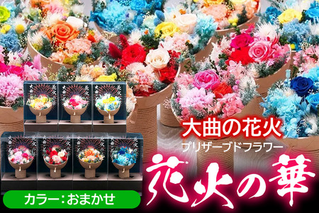 プリザーブドフラワー 花火の華[カラーおまかせ]1個