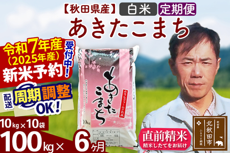 ※令和6年産 新米予約※《定期便6ヶ月》秋田県産 あきたこまち 100kg【白米】(10kg袋) 2024年産 お届け周期調整可能 隔月に調整OK お米 みそらファーム