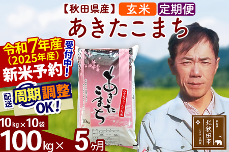 ※令和6年産 新米予約※《定期便5ヶ月》秋田県産 あきたこまち 100kg【玄米】(10kg袋) 2024年産 お届け周期調整可能 隔月に調整OK お米 みそらファーム