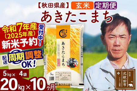 ※令和6年産 新米予約※《定期便10ヶ月》秋田県産 あきたこまち 20kg【玄米】(5kg小分け袋) 2024年産 お届け周期調整可能 隔月に調整OK お米 みそらファーム