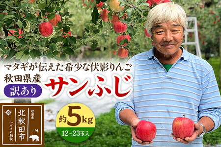 りんご 秋田県産 サンふじ(訳あり) 「伏影りんご」 約5kg (12〜23玉入)