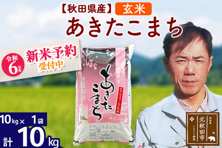 農家直送⭐秋田県産 あきたこまち 10kg 【特別栽培 有機米 一等米】
