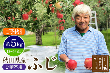 ＜先行予約＞りんご ふじ（ご贈答用）約5kg (12～16玉入) 伊東さんの「伏影りんご」 令和6年産 秋田県産 個数限定 リンゴ マタギのりんご