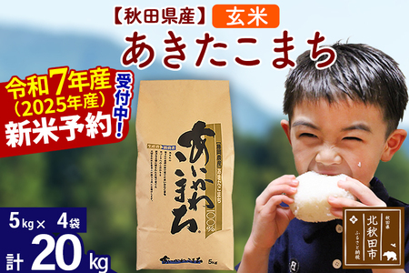 ※令和6年産 新米予約※秋田県産 あきたこまち 20kg【玄米】(5kg小分け袋)【1回のみお届け】2024産 お米 藤岡農産