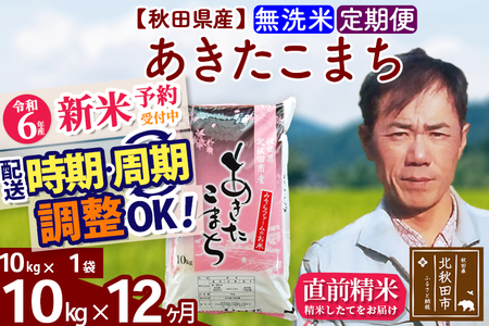 ※令和6年産 新米予約※《定期便12ヶ月》秋田県産 あきたこまち 10kg【無洗米】(10kg袋) 2024年産 お届け周期調整可能 隔月に調整OK お米 みそらファーム