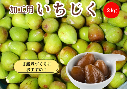 Ԍ Hp  2kg HcɂَsY k̂ zCg[mA