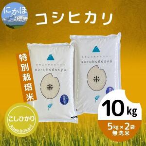 [令和5年産][無洗米]特別栽培米コシヒカリ5kg×2